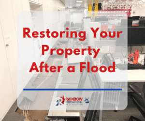 restoring a property after a flood